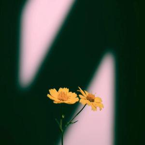 王俪丁和土豪双飞最新消息
